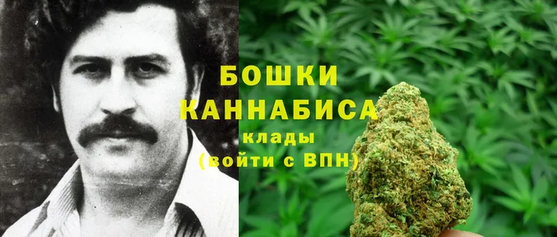 купить наркоту  Саров  Конопля OG Kush 